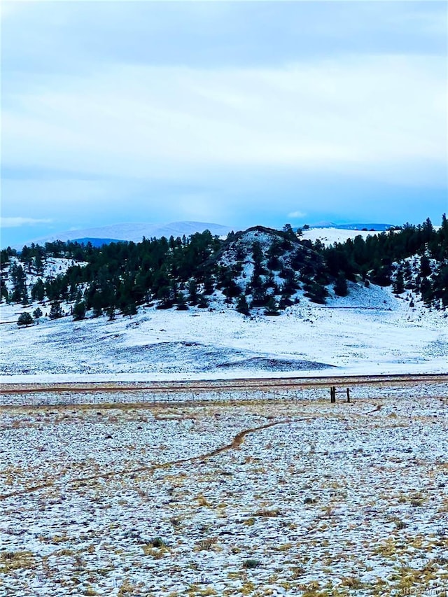 LOT30 Black Beaver Rd, Hartsel, CO 80449 - photo 4