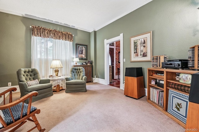 912 S Washington St, Denver, CO 80209 - living area featuring carpet and crown molding