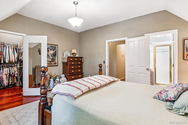 912 S Washington St, Denver, CO 80209 - bedroom with a walk in closet, wood finished floors, lofted ceiling, and a closet