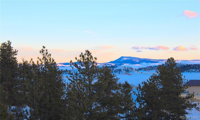729 Bridle Path, Hartsel, CO 80449