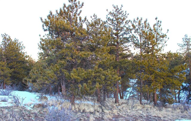 729 Bridle Path, Hartsel, CO 80449