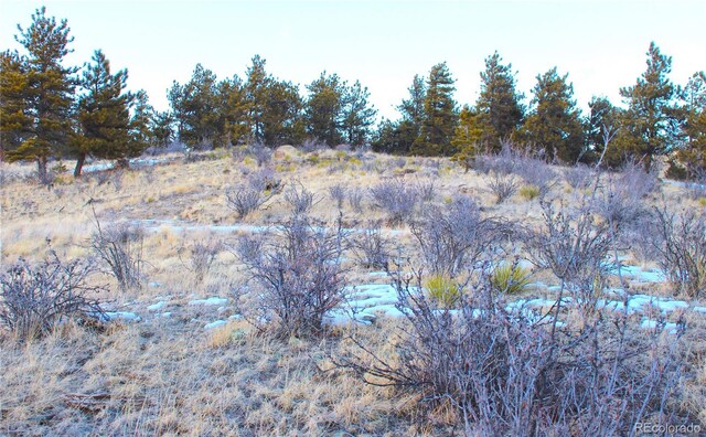 729 Bridle Path, Hartsel, CO 80449