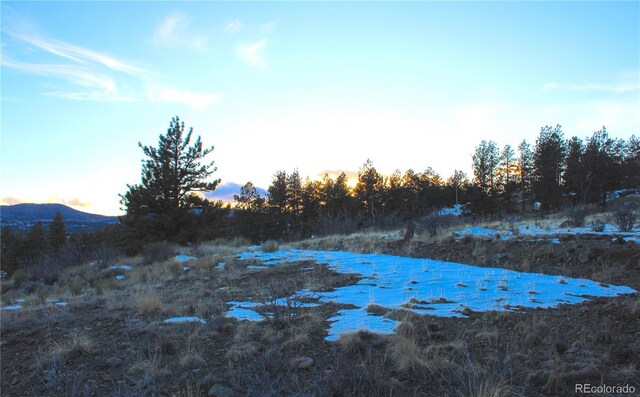 729 Bridle Path, Hartsel, CO 80449