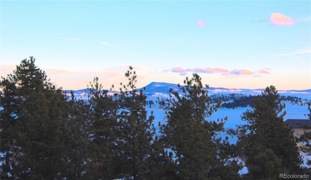 729 Bridle Path, Hartsel, CO 80449