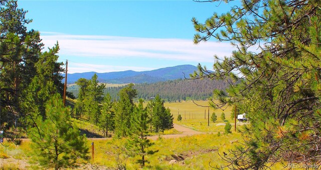729 Bridle Path, Hartsel, CO 80449