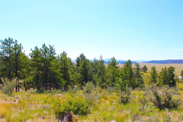729 Bridle Path, Hartsel, CO 80449