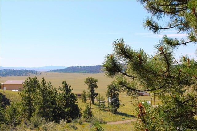 729 Bridle Path, Hartsel, CO 80449