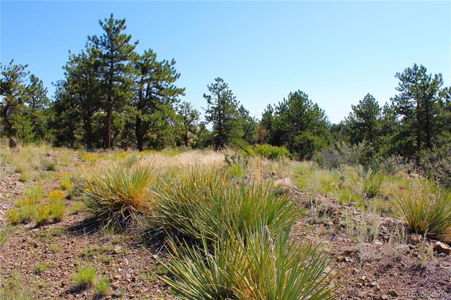 729 Bridle Path, Hartsel, CO 80449