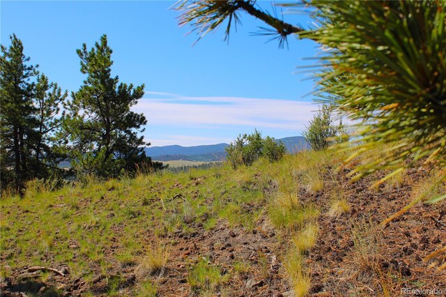 729 Bridle Path, Hartsel, CO 80449