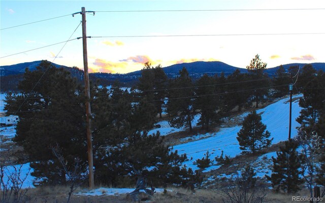 729 Bridle Path, Hartsel, CO 80449