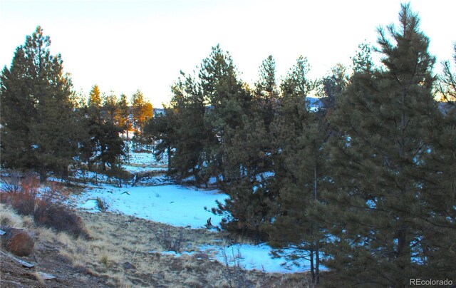 729 Bridle Path, Hartsel, CO 80449