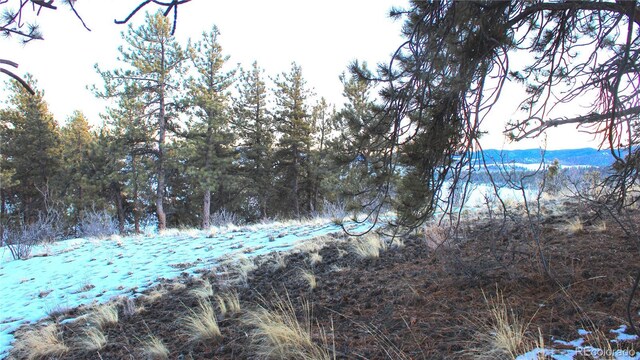 729 Bridle Path, Hartsel, CO 80449