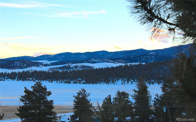 729 Bridle Path, Hartsel, CO 80449