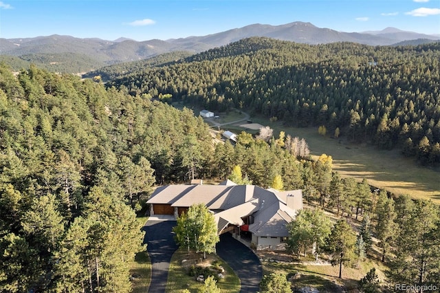 birds eye view of property featuring a mountain view