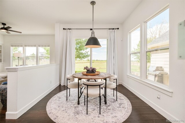 5397 Lenox Ct, Castle Rock, CO 80104 - photo 13