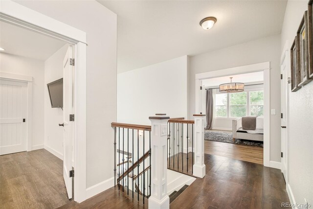 5397 Lenox Ct, Castle Rock, CO 80104 - photo 20