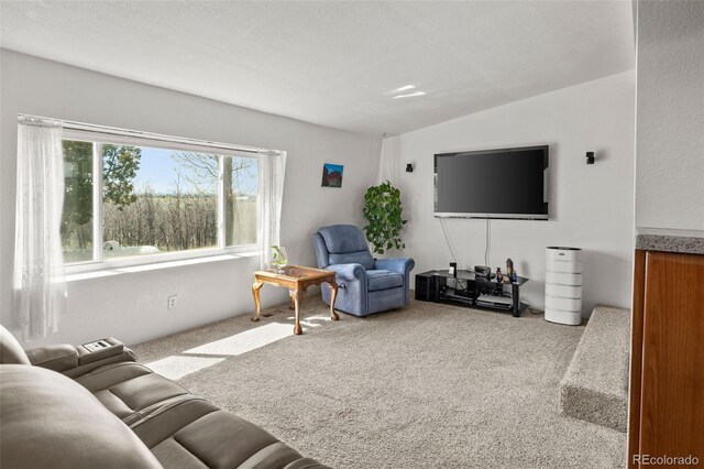 17445 County Road 6, Brighton, CO 80603 - photo 12