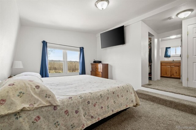 17445 County Road 6, Brighton, CO 80603 - photo 23