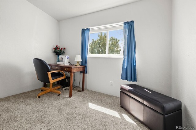 17445 County Road 6, Brighton, CO 80603 - photo 27