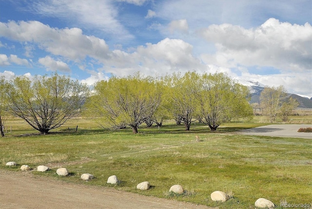 656 S Gunnison Ave, Buena Vista, CO 81211 - view of property's community featuring a yard and a mountain view