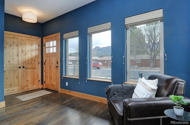 656 S Gunnison Ave, Buena Vista, CO 81211 - entryway featuring a wealth of natural light, dark wood finished floors, and baseboards