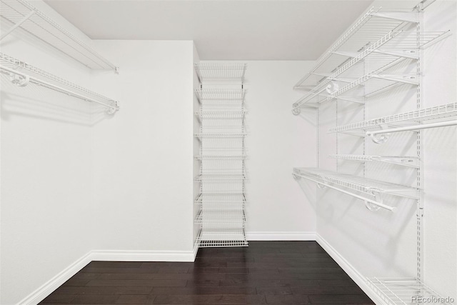 walk in closet with wood-type flooring