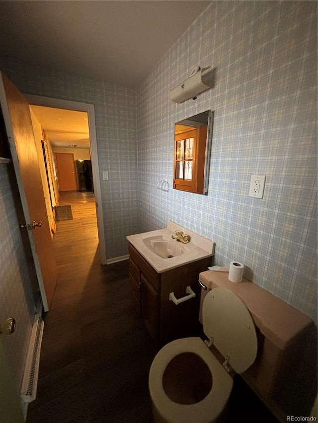 bathroom with hardwood / wood-style flooring and vanity