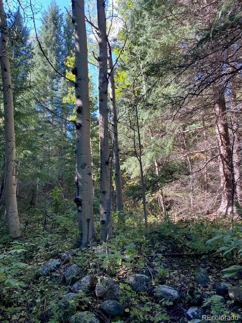 Listing photo 2 for Fall River Rd, Idaho Springs CO 80452