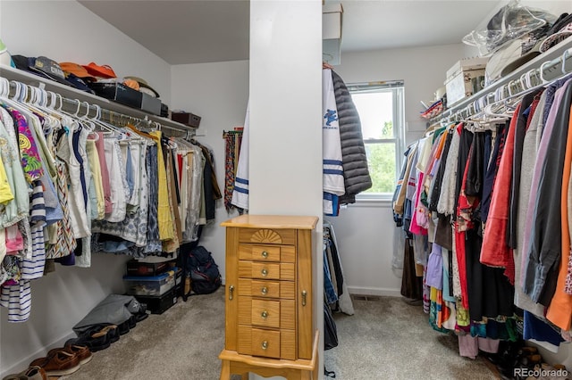 14261 W Evans Cir, Lakewood, CO 80228 - walk in closet featuring carpet flooring