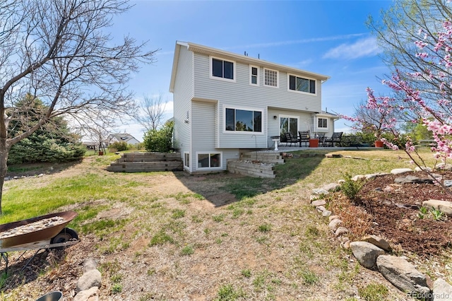 back of house featuring a patio area and a lawn