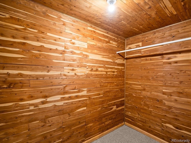 spacious closet featuring carpet floors