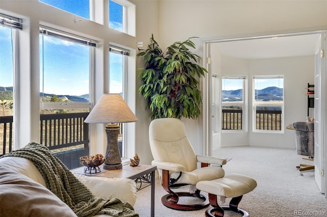 688 Tiara Rd, Lake George, CO 80827 - living area featuring carpet flooring