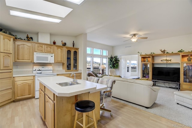 688 Tiara Rd, Lake George, CO 80827 - kitchen featuring white appliances, a sink, open floor plan, light wood-style floors, and light countertops