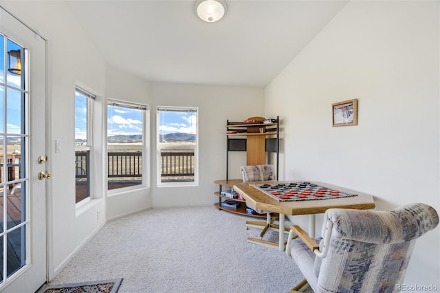688 Tiara Rd, Lake George, CO 80827 - rec room with carpet flooring and baseboards