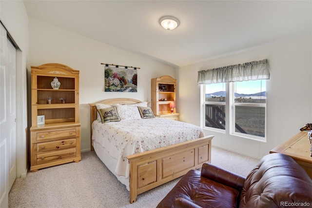 688 Tiara Rd, Lake George, CO 80827 - bedroom with light colored carpet, lofted ceiling, and a closet