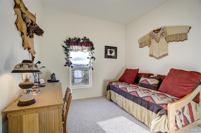 688 Tiara Rd, Lake George, CO 80827 - view of carpeted bedroom