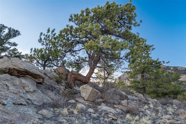 688 Tiara Rd, Lake George, CO 80827 - view of undeveloped land