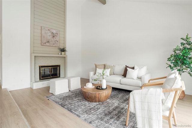 living room featuring a fireplace and light hardwood / wood-style floors