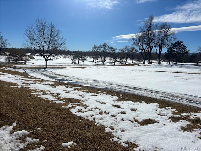 view of yard layered in snow