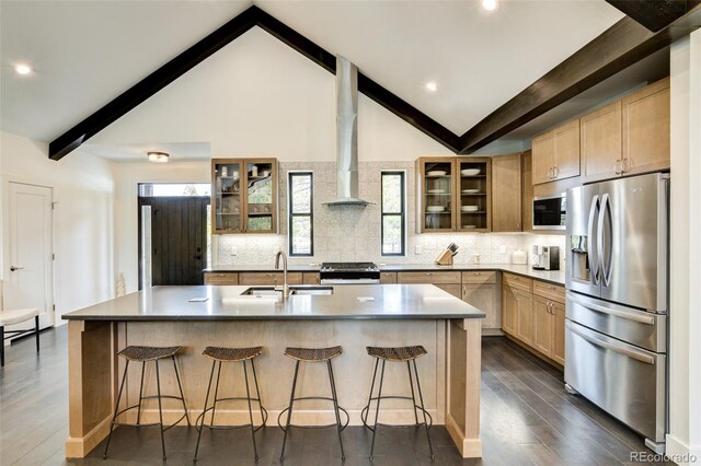 30298 San Isabel Rd, Buena Vista, CO 81211 - kitchen featuring stainless steel appliances, a sink, dark wood finished floors, glass insert cabinets, and recessed lighting