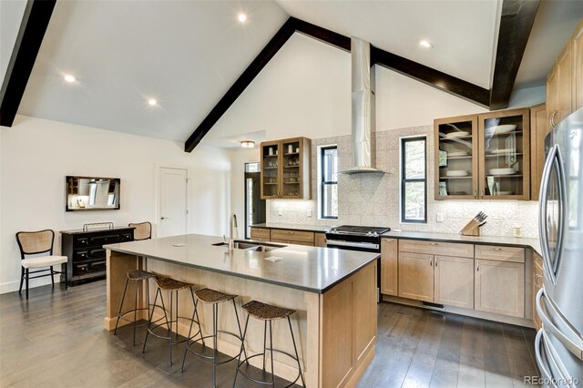 30298 San Isabel Rd, Buena Vista, CO 81211 - kitchen featuring a sink, stainless steel appliances, dark wood finished floors, an island with sink, and backsplash