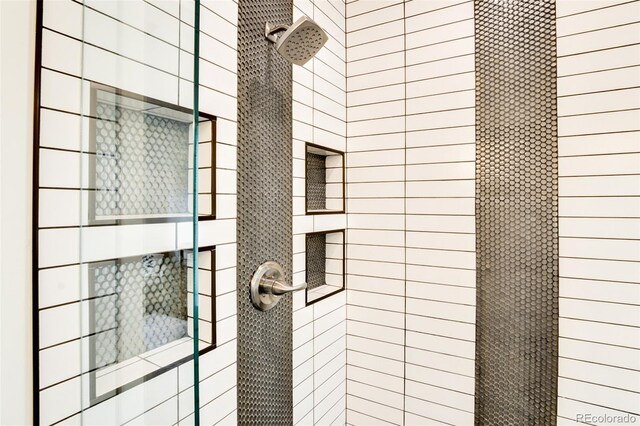 30298 San Isabel Rd, Buena Vista, CO 81211 - bathroom view of a stall shower