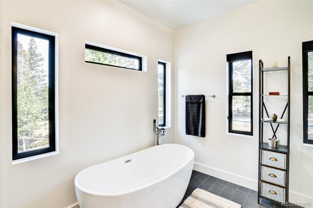 30298 San Isabel Rd, Buena Vista, CO 81211 - bathroom featuring a freestanding bath, baseboards, and tile patterned floors