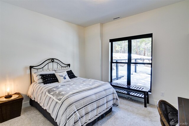 30298 San Isabel Rd, Buena Vista, CO 81211 - bedroom featuring carpet flooring