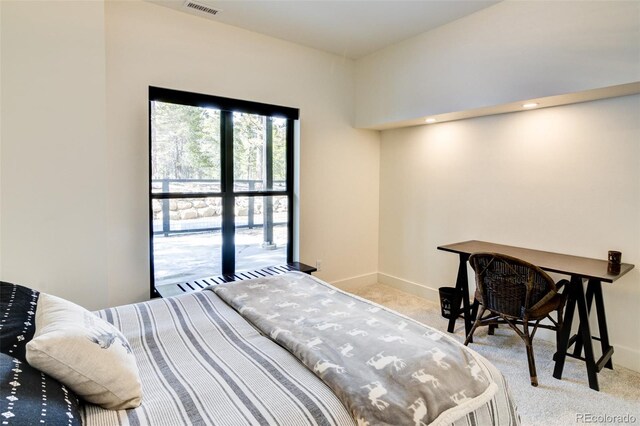 30298 San Isabel Rd, Buena Vista, CO 81211 - bedroom with carpet and baseboards