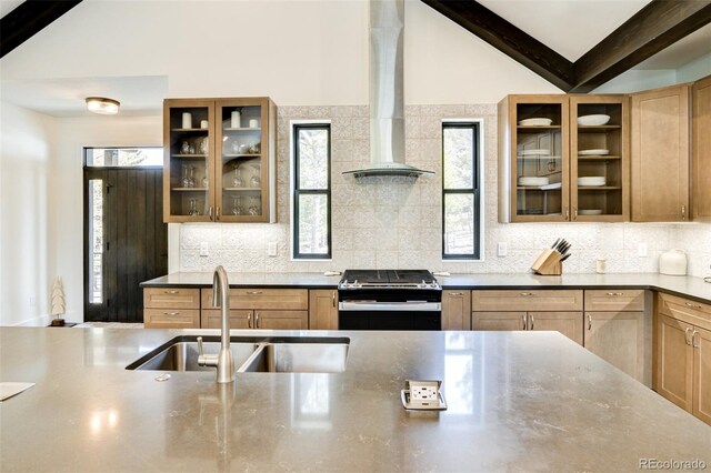 30298 San Isabel Rd, Buena Vista, CO 81211 - kitchen featuring stainless steel range oven, wall chimney range hood, healthy amount of natural light, and a sink