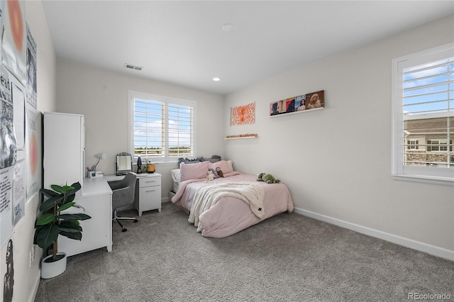5625 Heritage Oak Dr, Parker, CO 80134 - photo 29