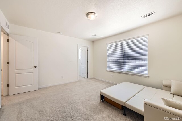 14437 Grape St, Thornton, CO 80602 - photo 38
