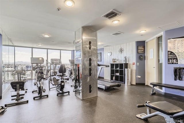 exercise room featuring a wall of windows