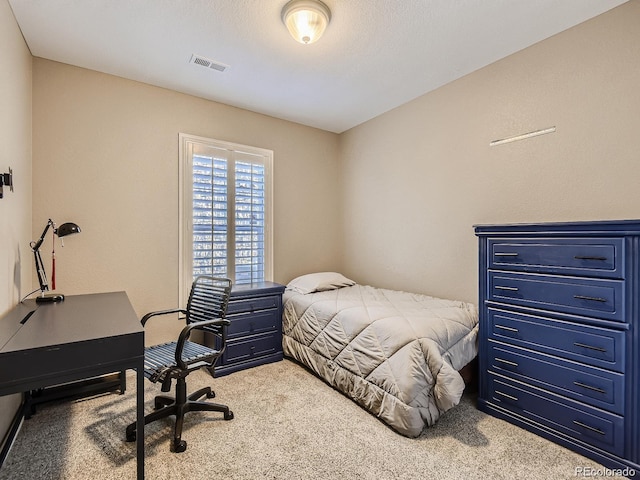 10106 Amston St, Parker, CO 80134 - photo 9